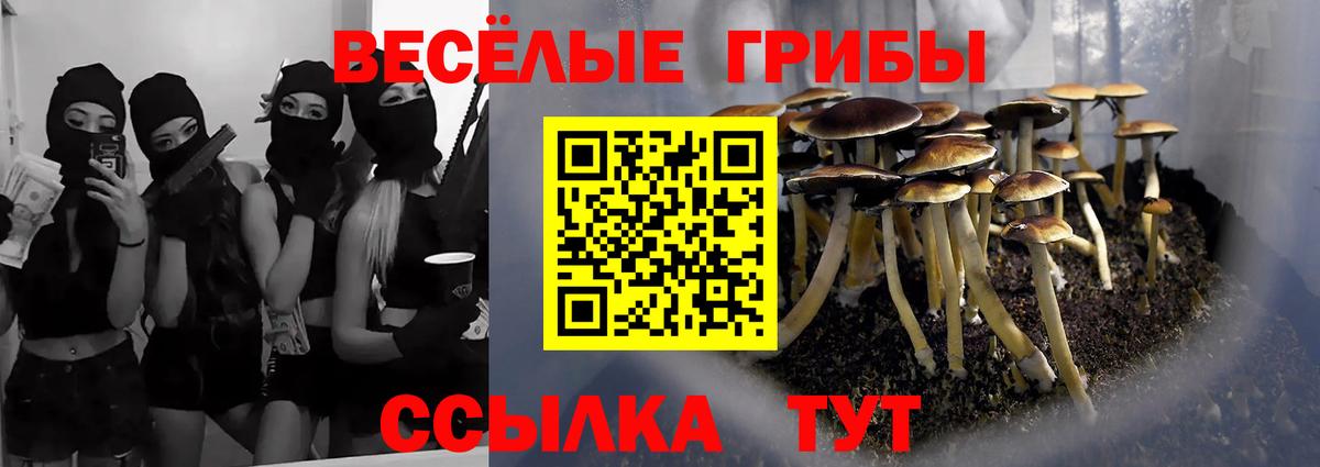 Псилоцибиновые грибы GOLDEN TEACHER Партизанск