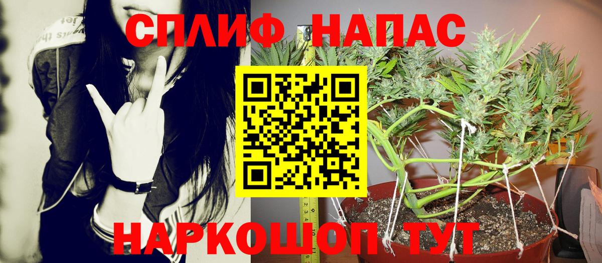Марихуана гибрид Партизанск